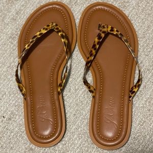 Sorrento thong sandals in tortoise